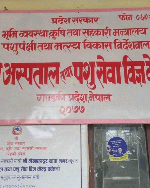 पशुपालक किसानलाई आत्मनिर्भर बनाउन ८० लाख अनुदान