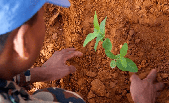युद्ध र सशस्त्र द्वन्द्वमा वातावरणको दुरुपयोग रोक्न अन्तरराष्ट्रिय दिवस मनाइँदै