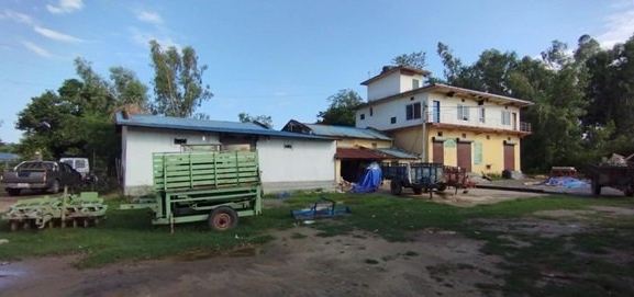 सय हेक्टरमा धानको बीउ उत्पादन गर्दै सहकारी