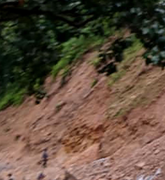 ढिस्कोले पुरिएर चार जनाको मृत्यु