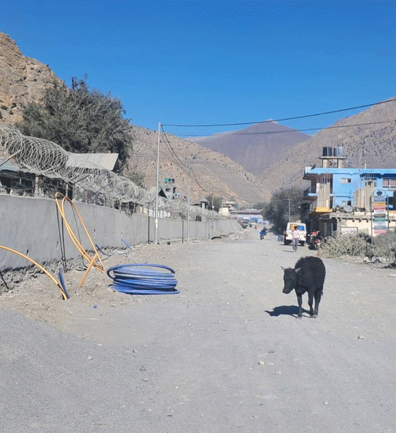 निर्माणाधीन कोबाङ-जोमसोम सडक आठ वर्षदेखि अलपत्र