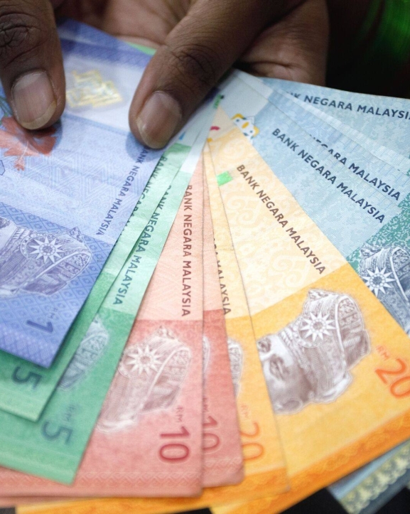 रिंगेट चार वर्षयताकै उच्च विन्दुमा