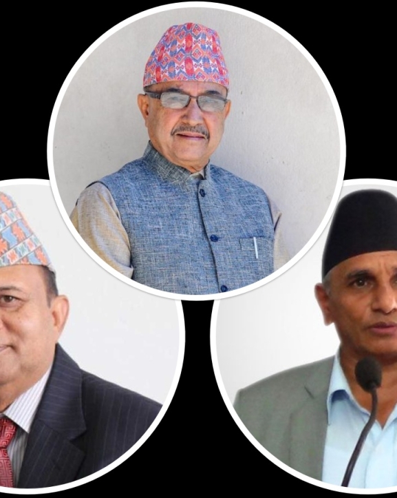 संसद् विघटनको प्रतिवादमा दलहरू