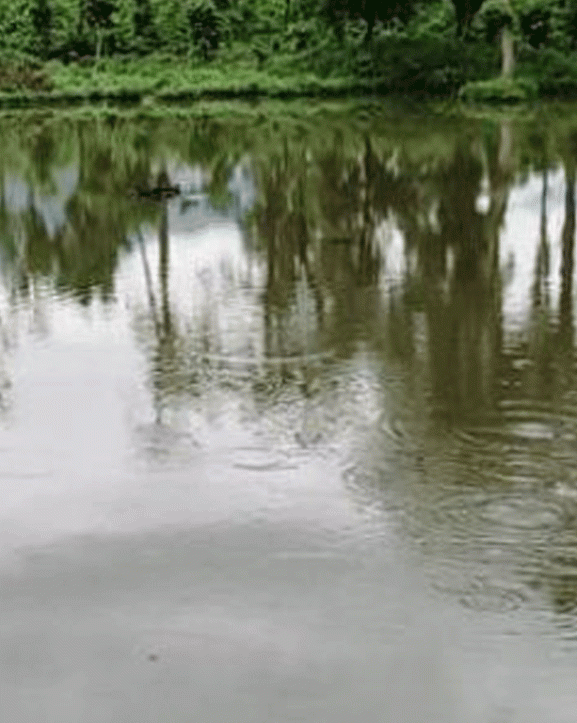 मानव–वन्यजन्तु द्वन्द्व रोक्न वनमा पानीको प्रबन्ध