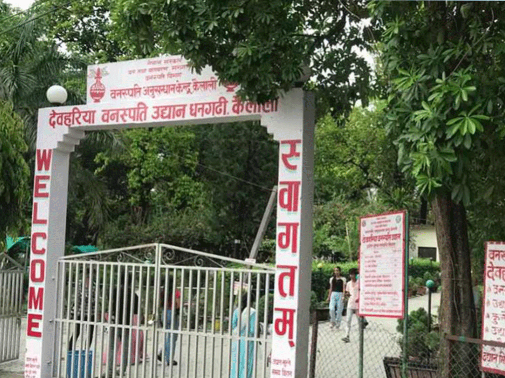 जडीबुटी खेती विस्तार गर्न नि:शुल्क बिरुवा वितरण