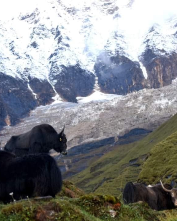 मनास्लु क्षेत्रमा बाटो खुल्यो, तर यात्रा अझै कठिन