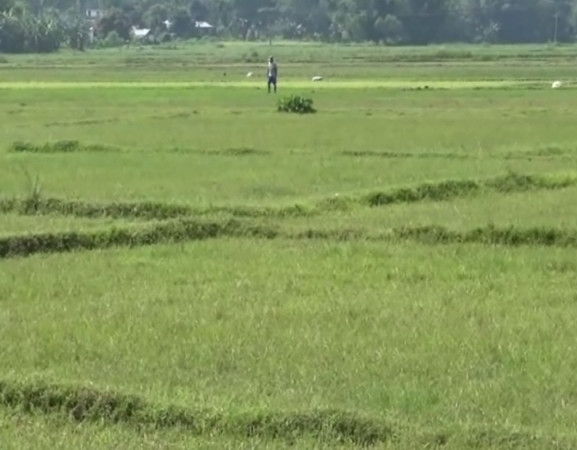 बाँझो जमिनमा खेती गर्नेलाई अनुदान 