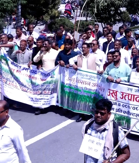 अनुदान माग गर्दै उखु किसान सडकमा