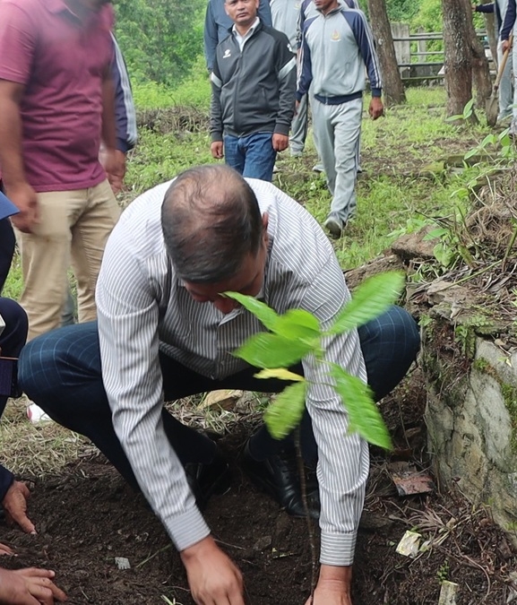 कर्णालीमा एक महिनामा दुई लाख बढी बिरुवा रोपियो