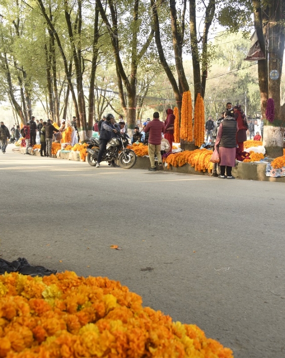 काठमाडौं महानगरले तोक्यो फूल बेच्‍न ४६ स्थान