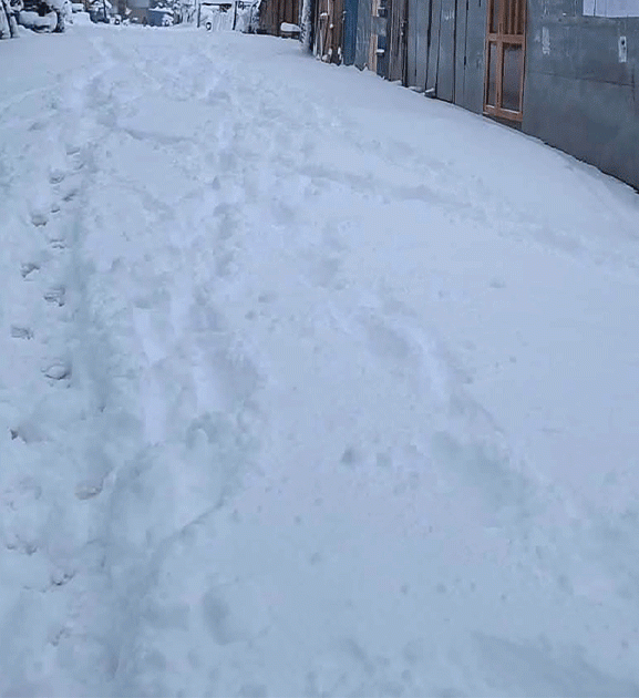 भारी हिमपातले मध्यपहाडी लोकमार्ग अवरुद्ध