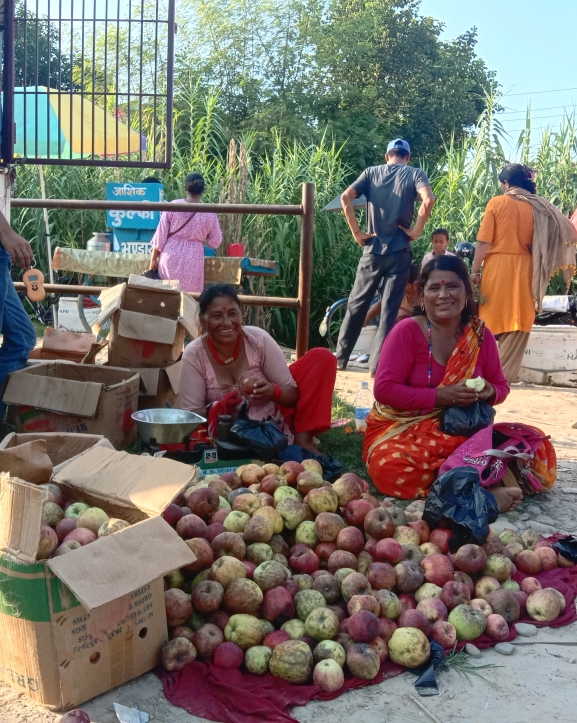 जुम्लाका उत्पादन, कैलालीमा व्यापार