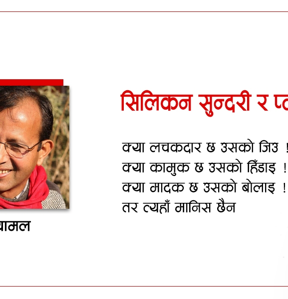सिलिकन सुन्दरी र प्लाष्टिक कविहरू