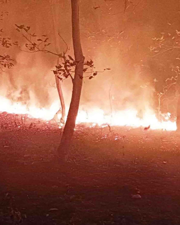 देशभरका नौ जिल्ला डढेलोको उच्च जोखिममा