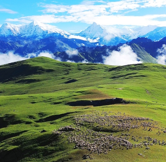 पर्यटक लोभ्याउने ‘ढोरपाटन बुकी’