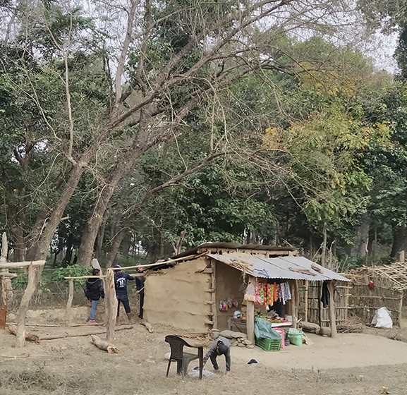 कैलालीमा चार सय हेक्टर बढी अतिक्रमित वन क्षेत्र खाली