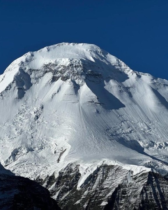 धवलागिरिमा ५ आरोहीको मृत्यु