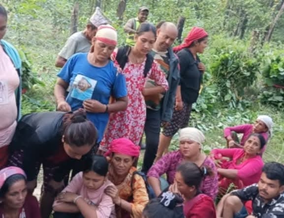 सामुदायिक वनको विकासले गाउँको मुहार फेरियो, स्थानीय तहलाई चुनौती