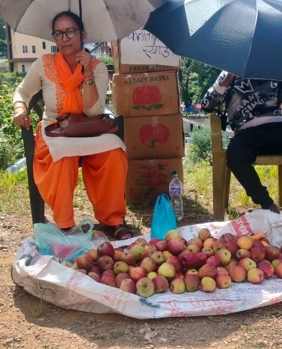 काठमाडौंमा जुम्ली स्याउ, ब्रान्डिङ गर्दै कर्णालीवासी