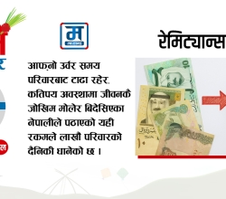 रेमिट्यान्स : परिवार धान्नेदेखि अर्थतन्त्र बदल्ने पुँजीसम्म