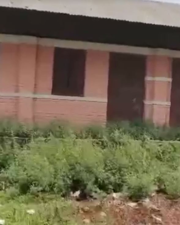 पाल्ही आधारभूत विद्यालयमा विद्यार्थीको खडेरी 