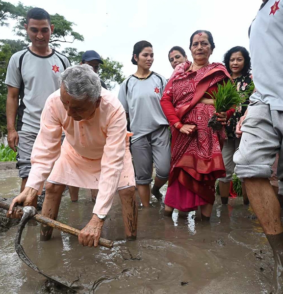 शीतल निवासमा धान रोपाइँ