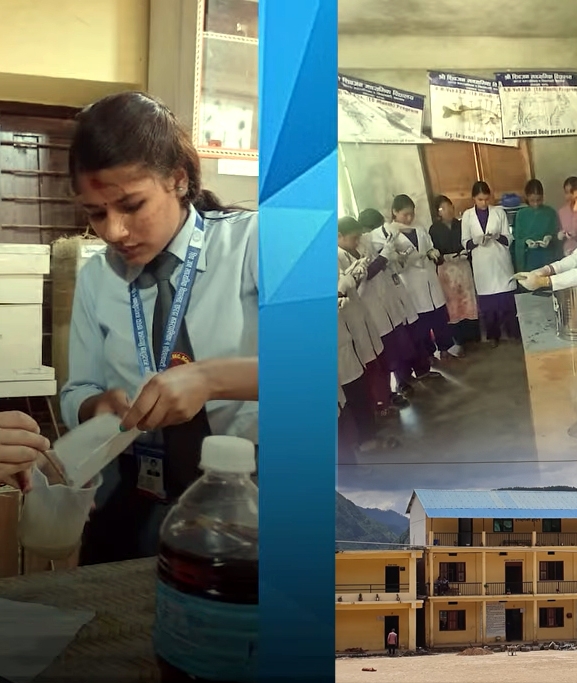 रोजगारीको ग्यारेन्टी नहुँदा घट्दै प्राविधिक शिक्षाप्रतिको आकर्षण