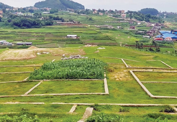 जेठ महिनामा घरजग्गाको कारोबार बढ्यो