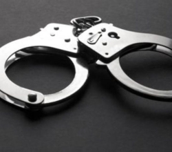 क्रोएशिया र अमेरिका पठाइदिन्छु भन्दै ठगी गर्ने ३ जना पक्राउ