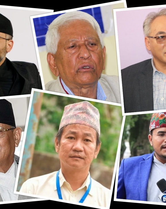 संसदीय दलको नेता चयनको दौडमा दलहरू