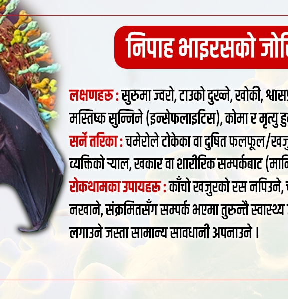 निपाह भाइरसको जोखिम : सतर्कता अपनाउन आग्रह, सीमा नाकामा बढाइयो निगरानी