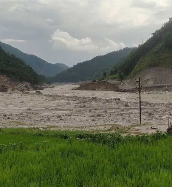 धानखेत बगरमा परिणत
