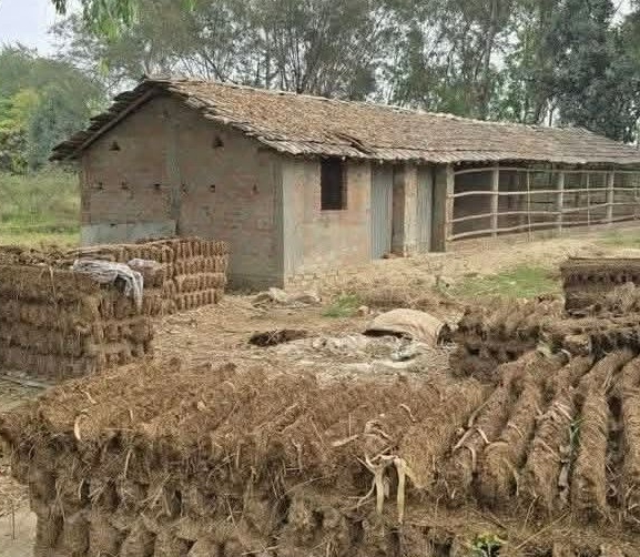 मधेशका गाउँमा गोइँठाकै भर, छैन गयास अभावको चिन्ता