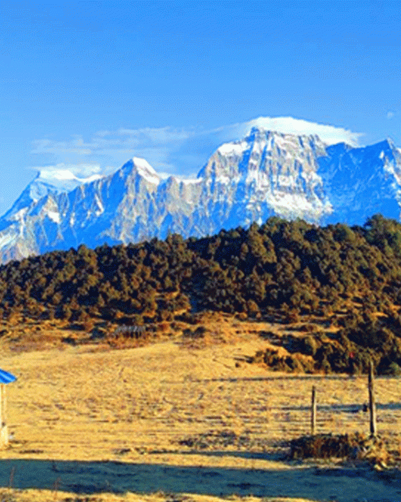 सडक नखुल्दा जलजला पुग्न पाएनन् पर्यटक