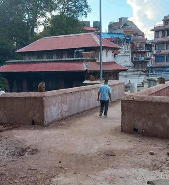 अलपत्र भएको करिब एक वर्षपछि बन्यो गौरीघाट पुल