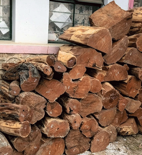 वन कार्यालयद्वारा काठ बरामद