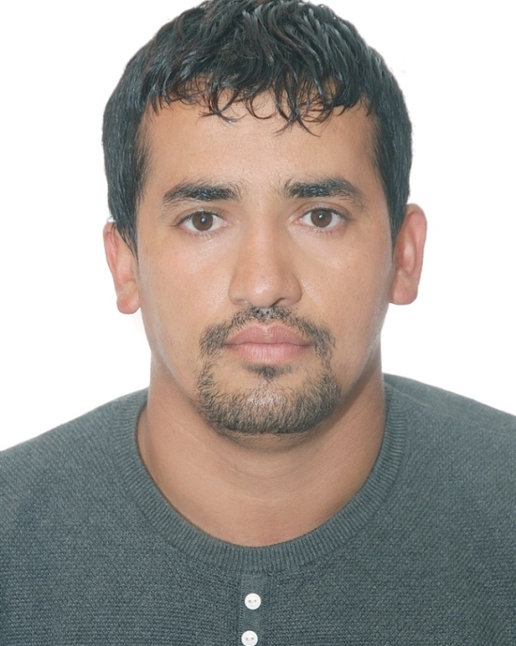 डिजिटल युग र व्यवसायिक साहित्य