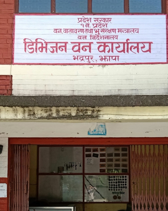 झापा वन कार्यालयमा दुई लाखभन्दा बढी बिरुवा उत्पादन