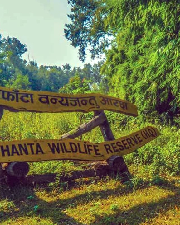 वन्यजन्तु आतङ्क नियन्त्रणमा प्रतिबद्धता जनाउने उम्मेदवार खोज्दै मध्यवर्ती क्षेत्रका बासिन्दा