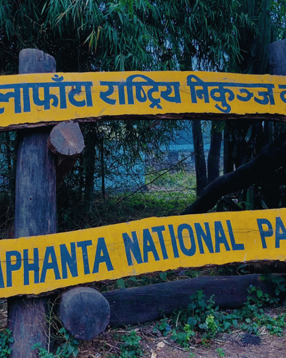 शुक्लाफाँटा राष्ट्रिय निकुञ्जका विस्थापित परिवारको व्यवस्थापनका लागि अध्ययन समिति गठन