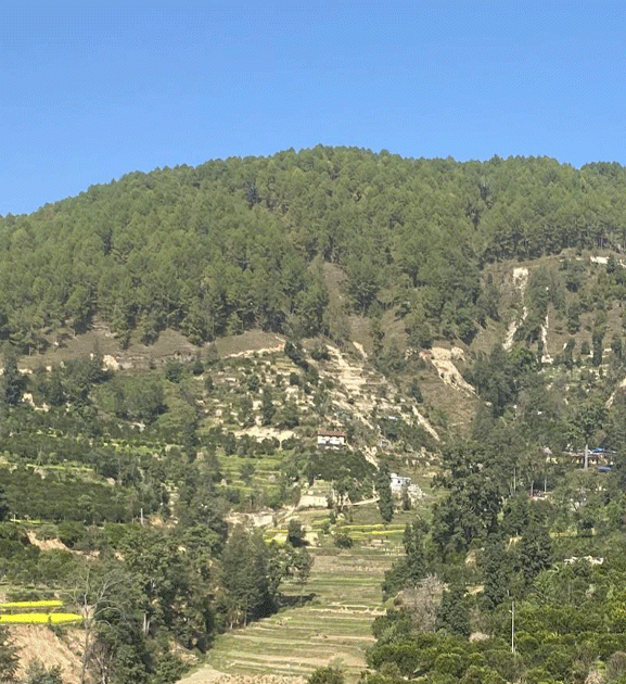 काभ्रेमा कृषि-पर्यटन प्रवर्द्धनार्थ ‘सुन्तला-हाइकिङ’