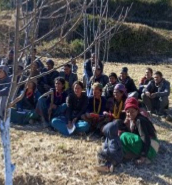 बाजुरामा फलफूल खेतीप्रति किसानको आकर्षण बढ्दै