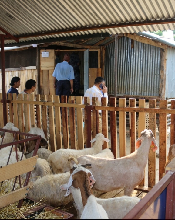 गाउँ फर्किएर कृषिबाटै लाखौं आम्दानी