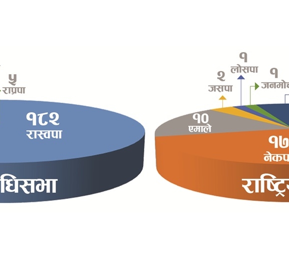 दुई सदनमा दुईखाले अंकगणित