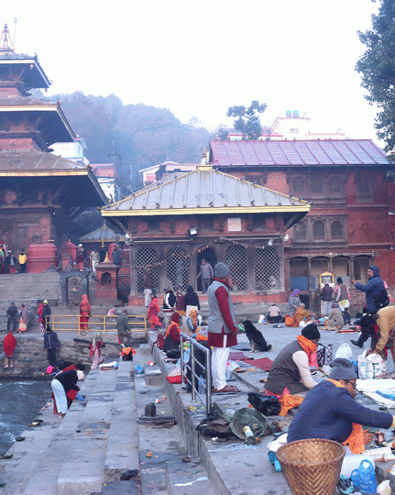 पौष कृष्ण औँसी : गोकर्णेश्वर उत्तरगयामा श्राद्ध गर्नेको घुइँचो