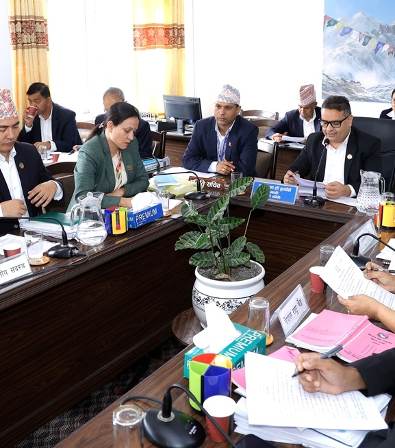 राष्ट्र बैंक ऐन संशोधन विधेयकको प्रतिवेदन सर्वसम्मत पारित