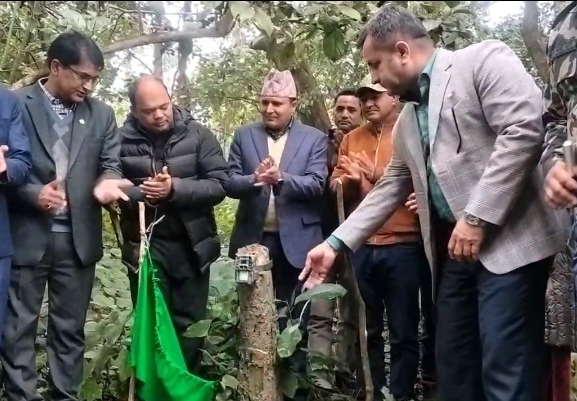 बाँके र बर्दिया राष्ट्रिय निकुञ्जमा बाघ गणना सुरु