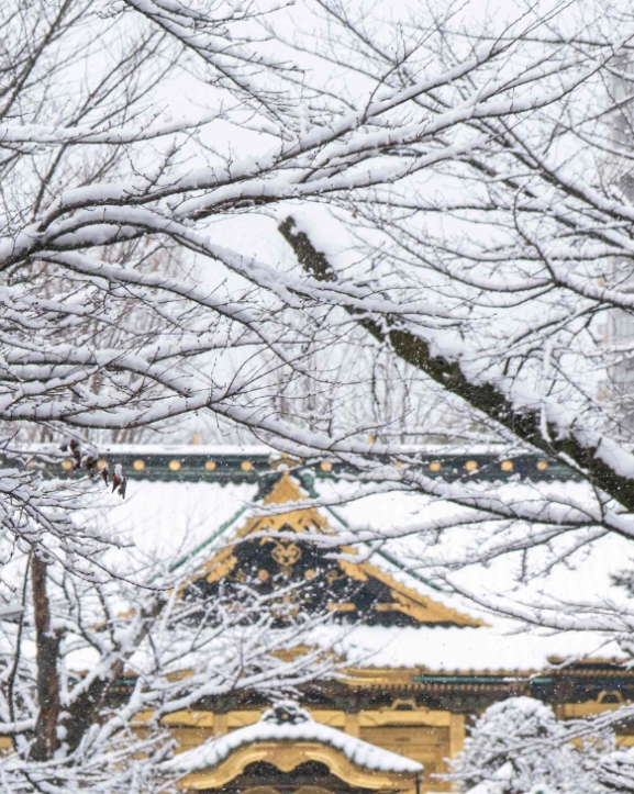 जापानमा भारी हिमपात, ४६ जनाको मृत्यु