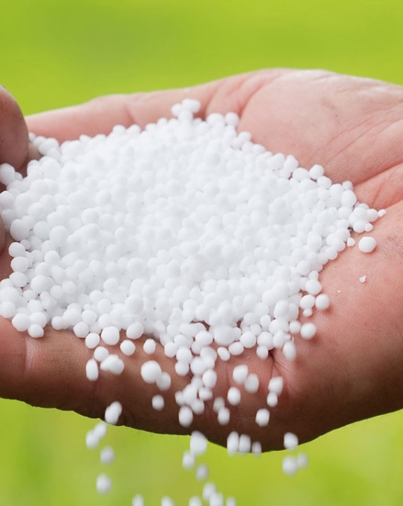 हिउँदे बालीका लागि रासायनिक मलको अभाव नहुने