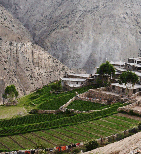 हिउँदयाममा बाँसस्थान फेरिएको मुस्ताङको साङ्ता गाउँ